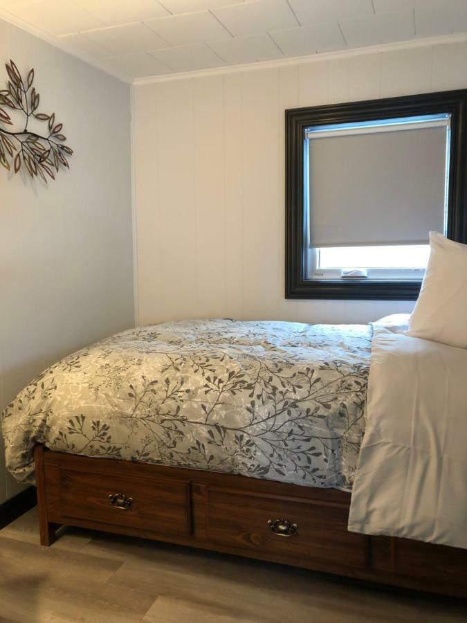 Alma'S Cape Shore Cottage! Your Home Away From Home! Bonavista Εξωτερικό φωτογραφία