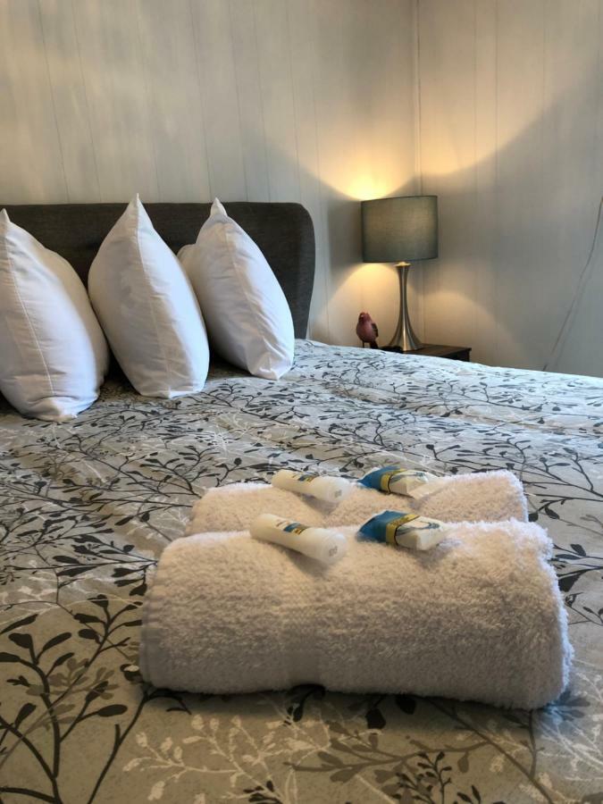 Alma'S Cape Shore Cottage! Your Home Away From Home! Bonavista Εξωτερικό φωτογραφία